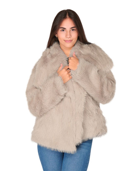 Immagine di GIUBBINO PELLICCETTA