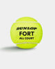 Immagine di DUNLOP - PALLINE TENNIS FORT ALL COURT NEW (4PALLE) - 601607