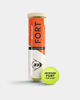 Immagine di DUNLOP - PALLINE  TENNIS FORT CLAY COURT (4PALLE) - 601613