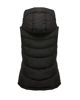 Immagine di GILET IMBOTTITO CON CAPPUCCIO
