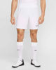 Immagine di NIKE - PANTALONCINO UOMO ACADEMY BIANCO, HJ3796-100