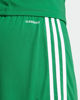 Immagine di ADIDAS -PANTALONCINO DA CALCIO UOMO VERDE E BIANCO SQUA25 -JN7482