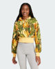 Immagine di ADIDAS - FELPA DONNA CON CAPPUCCIO FANTASIA TROPICALE GIALLA, VERDE, MARRONE E NERA, X FARM -  JD6282
