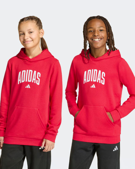 Immagine di SWEAT C/CAPP.COLLEG HD RED