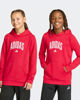 Immagine di ADIDAS - FELPA ROSSA PER RAGAZZI CON CAPPUCCIO CODES COLLEGE GRAPHIC - KA2991