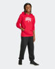 Immagine di ADIDAS - FELPA ROSSA PER RAGAZZI CON CAPPUCCIO CODES COLLEGE GRAPHIC - KA2991