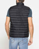 Immagine di UOMO GILET 100GR