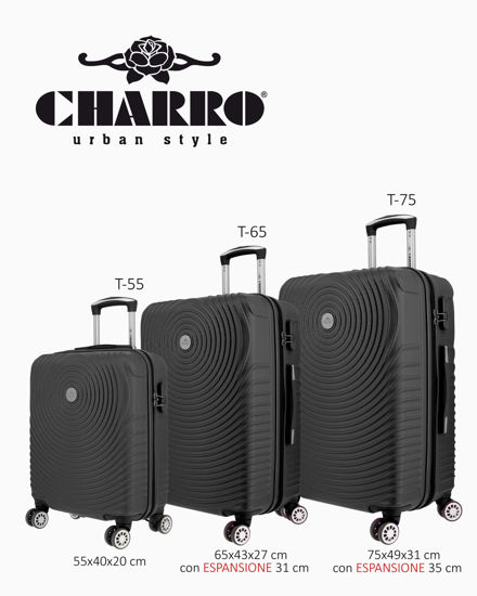 Immagine di TROLLEY ABS 4RUOTE DOPPIE C/CERCHI