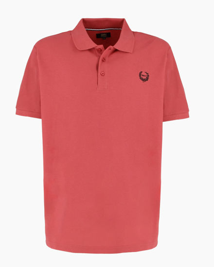 Immagine di POLO MEZZA MANICA