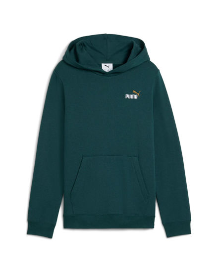 Immagine di PUMA – FELPA CON CAPPUCCIO ESSENTIALS 2 COLOR SMALL LOGO JUNIOR VERDE – 685825-75
