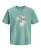 Immagine di JACK&JONES - Tshirt manica corta honolulu verde salvia con stampa