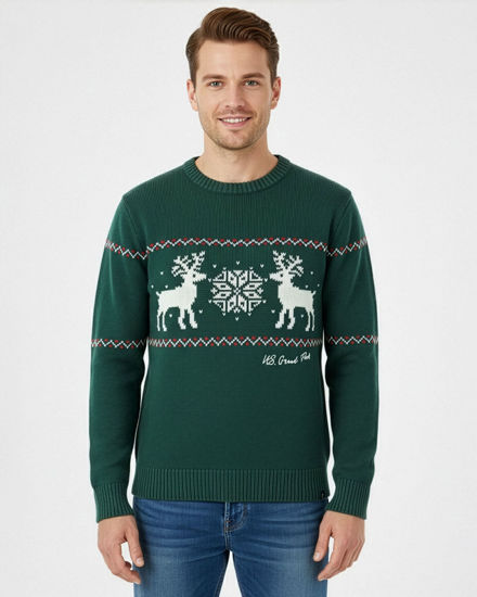 Immagine di US GRAND - Maglione manica lunga verde con renna
