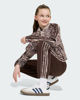 Immagine di PANTALONE SST LO TP BROWN