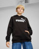 Immagine di PUMA - FELPA JUNIOR ( 7-16 ANNI) NERA CON CAPPUCCIO  ESSENTIAL N. 1 LOGO HD FL, 684908-01