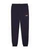 Immagine di PUMA - PANTALONE NAVY ESSENTIAL  2 COLOR NO.1 LOGO SW DA UOMO, 684714-19