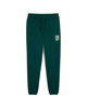 Immagine di PUMA - PANTALONE TUTA  VERDE SPORTS LEGACY GRAPHIC DA UOMO, 629631-60