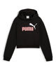 Immagine di PUMA - FELPA CON CAPPUCCIO JUNIOR (7-16 ANNI) ESSENTIAL 2 COLOR NO.1 LOGO NERA, 686072-51