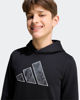 Immagine di SWEAT C/CAPP.J CAMO HD BLACK