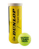 Immagine di DUNLOP - PALLE DA TENNIS PB PRO PADEL (TUBO 3 PALLE), 601553