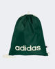 Immagine di GYMSACK LINEAR GREEN