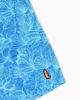 Immagine di BOXER MARE MARTE RODI FISH