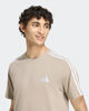Immagine di T-SHIRT MM 3S SJ LC T BEIGE