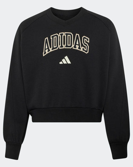 Immagine di SWEAT CLGT V-NECK BLACK
