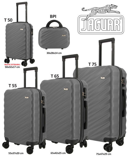 Immagine di TROLLEY ABS
