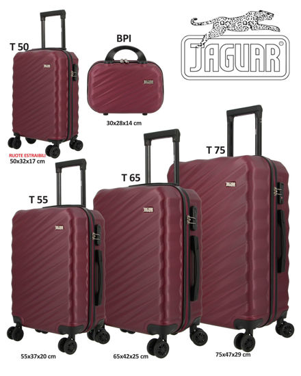 Immagine di TROLLEY ABS