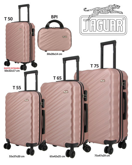 Immagine di TROLLEY ABS