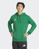Immagine di SWEAT C/CAPP.ENT26 HOODY GREEN