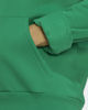 Immagine di SWEAT C/CAPP.ENT26 HOODY GREEN