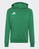 Immagine di SWEAT C/CAPP.ENT26 HOODY GREEN