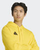 Immagine di SWEAT C/CAPP.ENT26 HOODY YELLOW