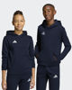 Immagine di SWEAT C/CAPP.ENT26 HOODY JR BLUE