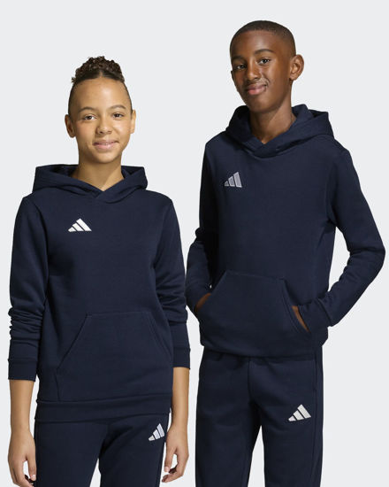 Immagine di SWEAT C/CAPP.ENT26 HOODY JR BLUE