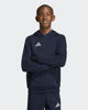 Immagine di SWEAT C/CAPP.ENT26 HOODY JR BLUE