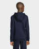 Immagine di SWEAT C/CAPP.ENT26 HOODY JR BLUE