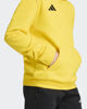 Immagine di SWEAT C/CAPP.ENT26 HOODY JR YELLOW