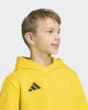 Immagine di SWEAT C/CAPP.ENT26 HOODY JR YELLOW