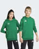 Immagine di SWEAT C/CAPP.ENT26 HOODY JR GREEN