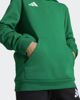 Immagine di SWEAT C/CAPP.ENT26 HOODY JR GREEN