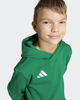 Immagine di SWEAT C/CAPP.ENT26 HOODY JR GREEN