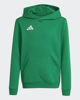 Immagine di SWEAT C/CAPP.ENT26 HOODY JR GREEN
