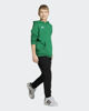 Immagine di SWEAT C/CAPP.ENT26 HOODY JR GREEN