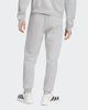 Immagine di PANTALONE ENT26 SW PNT GREY