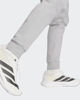 Immagine di PANTALONE ENT26 SW PNT GREY