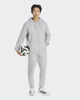 Immagine di PANTALONE ENT26 SW PNT GREY