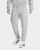 Immagine di PANTALONE ENT26 SW PNT GREY