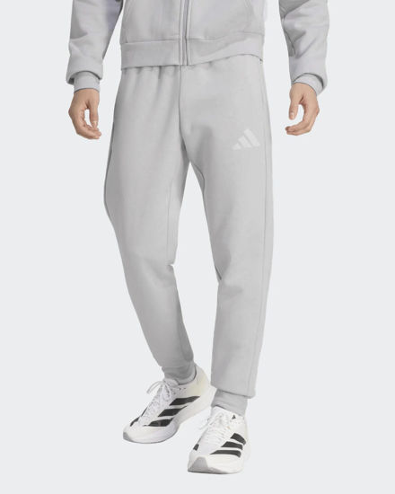 Immagine di PANTALONE ENT26 SW PNT GREY